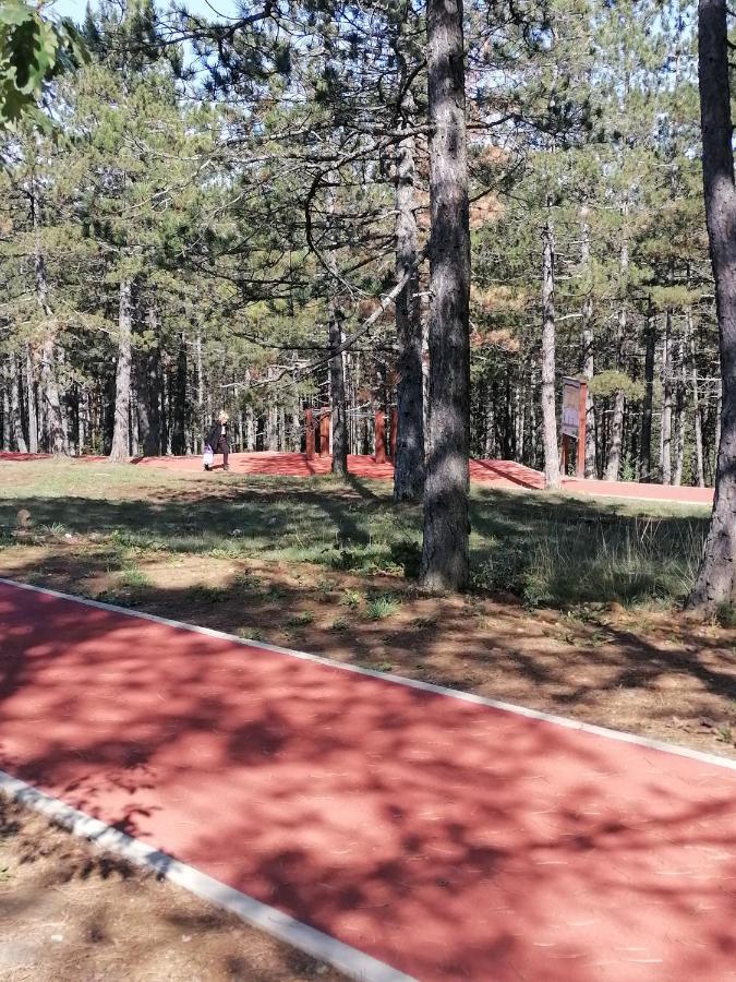 Villa Bozovic Zlatibor Buitenkant foto