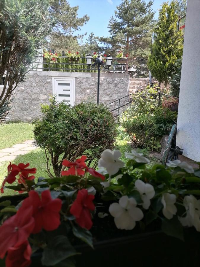 Villa Bozovic Zlatibor Buitenkant foto