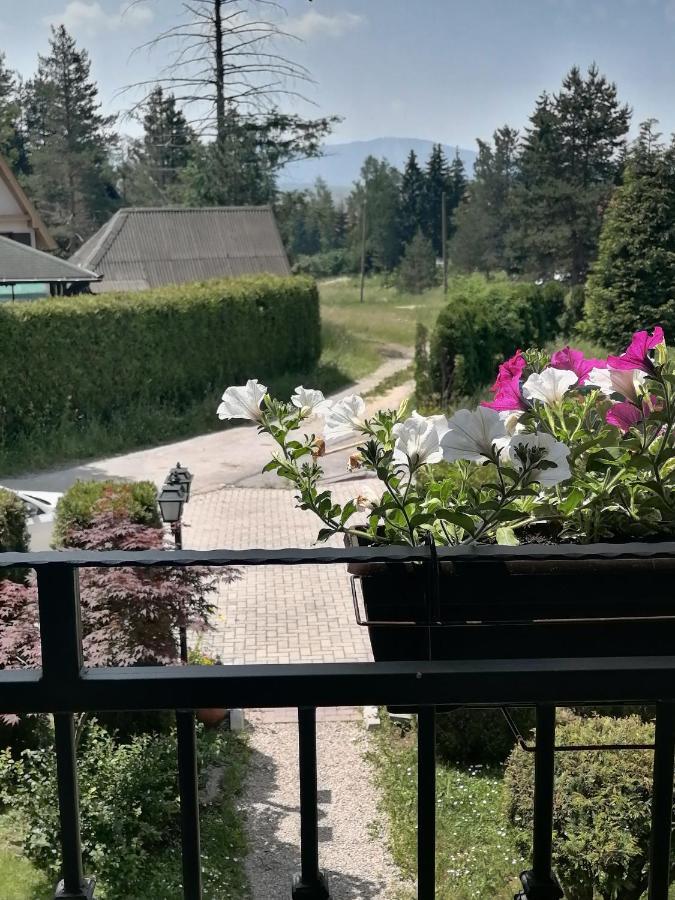 Villa Bozovic Zlatibor Buitenkant foto