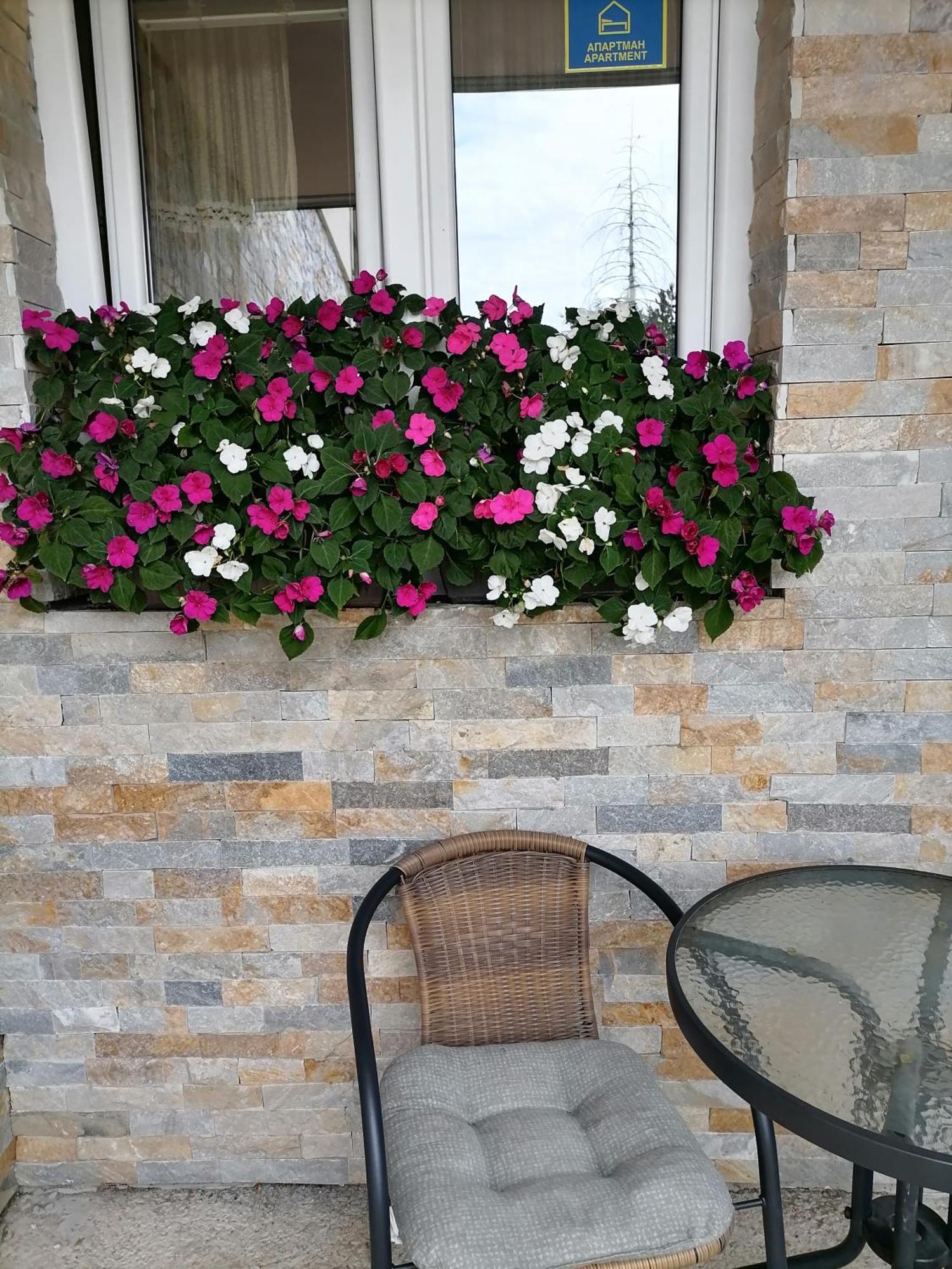 Villa Bozovic Zlatibor Buitenkant foto