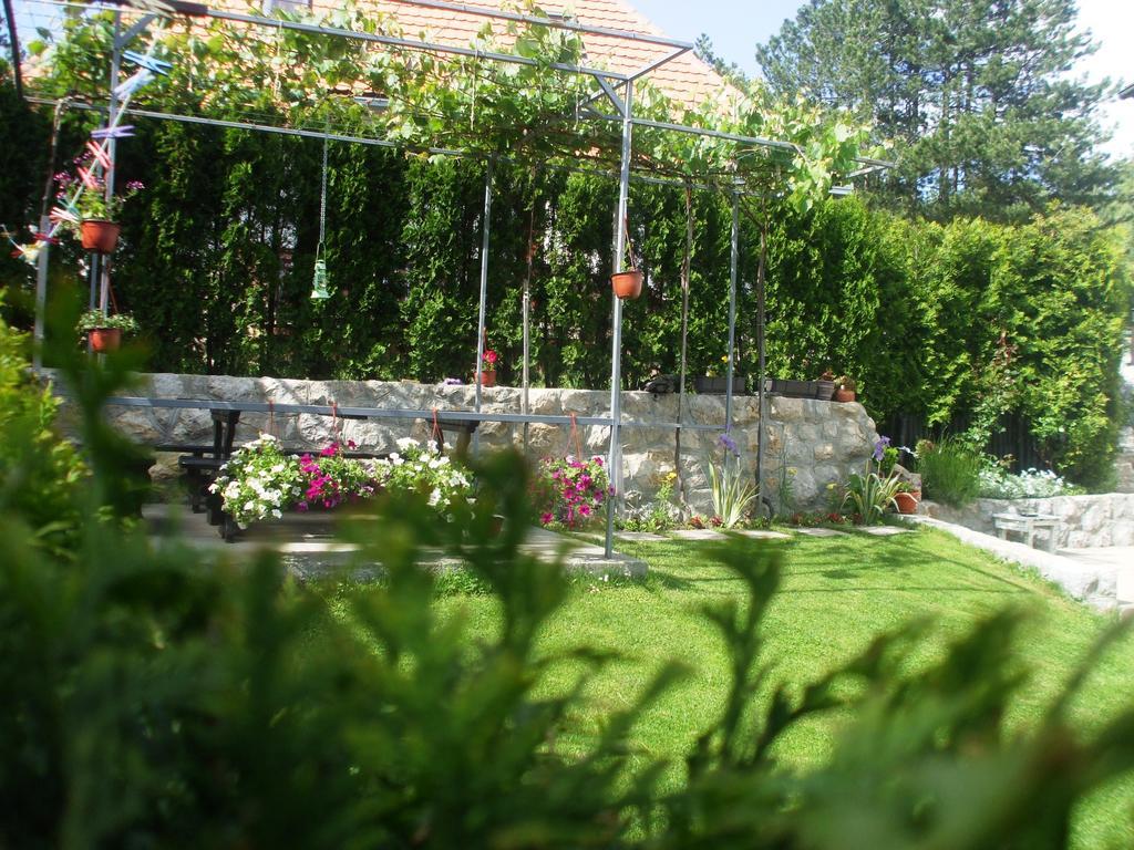 Villa Bozovic Zlatibor Buitenkant foto